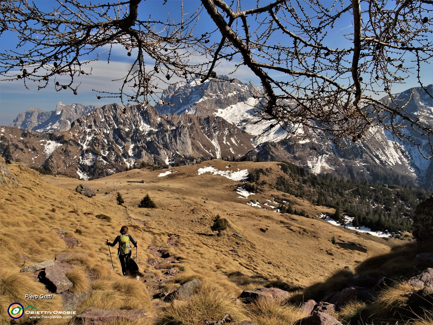 71 Vista sui pascoli fioriti del Monte Campo.JPG